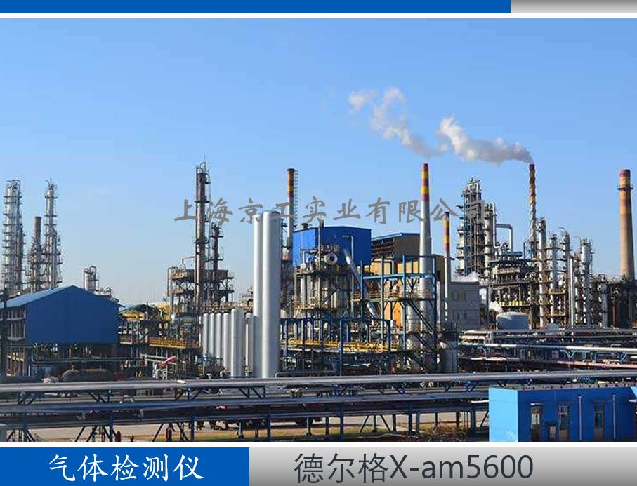 化工行業(yè)德?tīng)柛駳怏w檢測(cè)儀